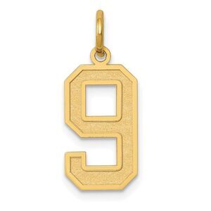 14k Yellow Gold, Jersey Collection, Medium Number 9 Pendant